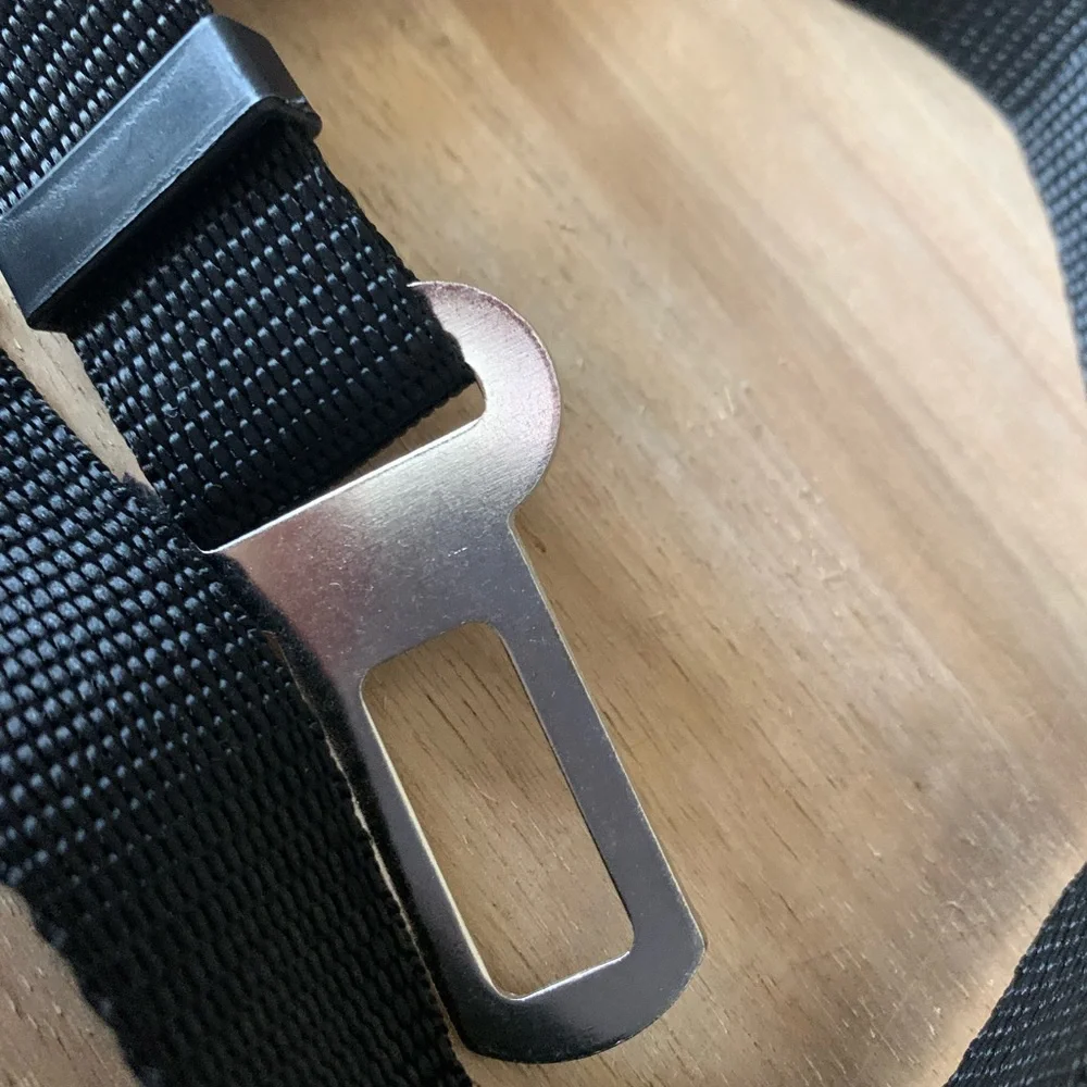 PET SEATBELT